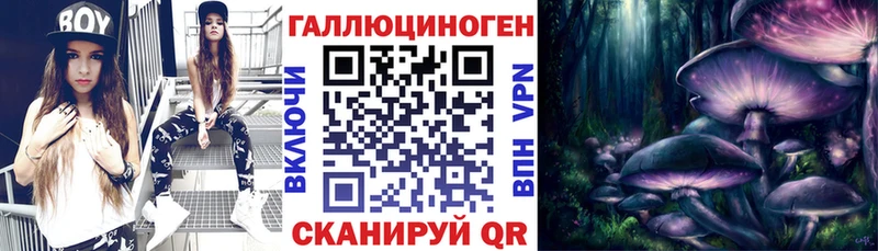 закладка  мега зеркало  Псилоцибиновые грибы GOLDEN TEACHER  Пушкино 