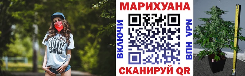 Бошки марихуана семена  Пушкино 